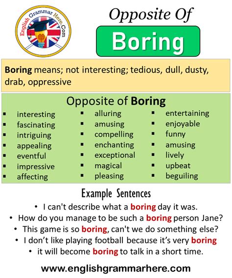 bore antonyms